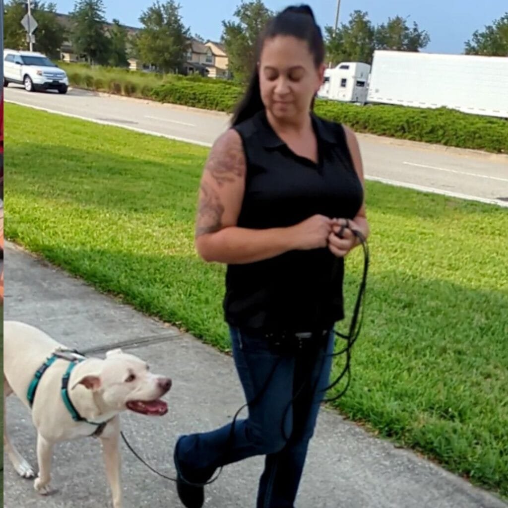 Amanda is walking her dog and working on dog obedience and dog behavior modification on leash. 