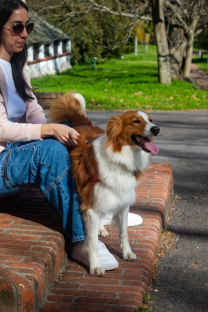 A dog that is alert with a dog owner who is tense.
